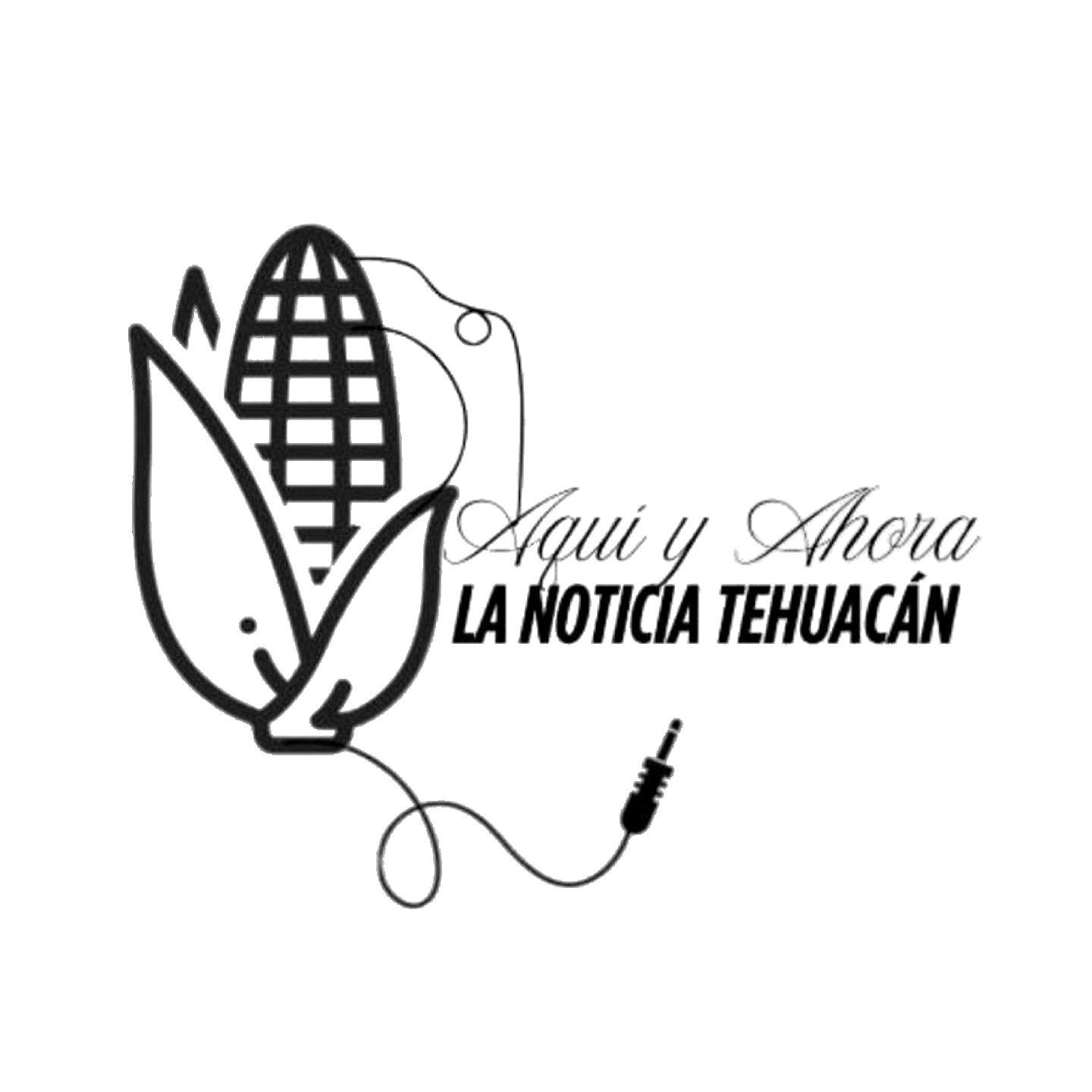 Medio Aliado 13